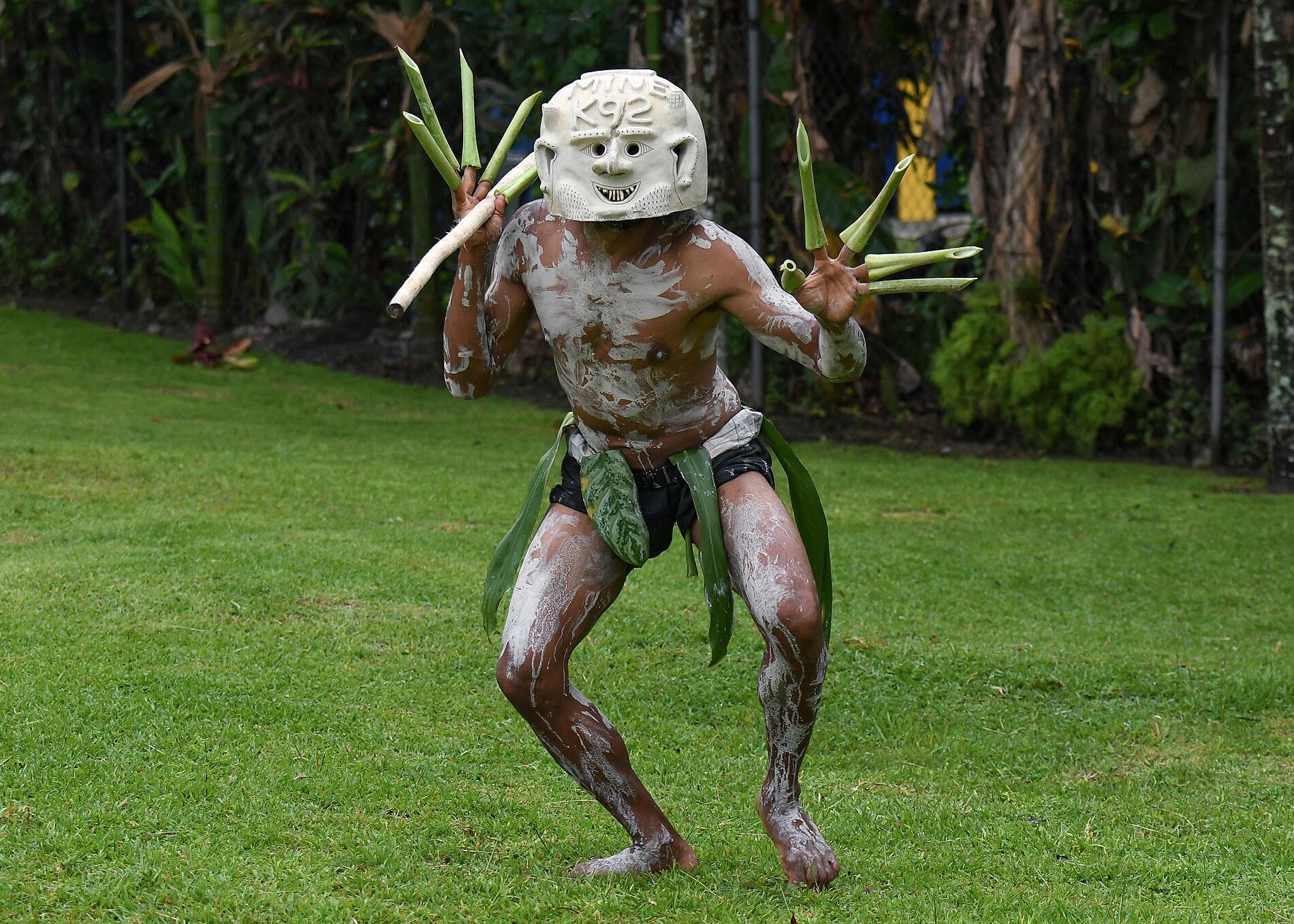Odyssée en Nouvelle-Guinée 