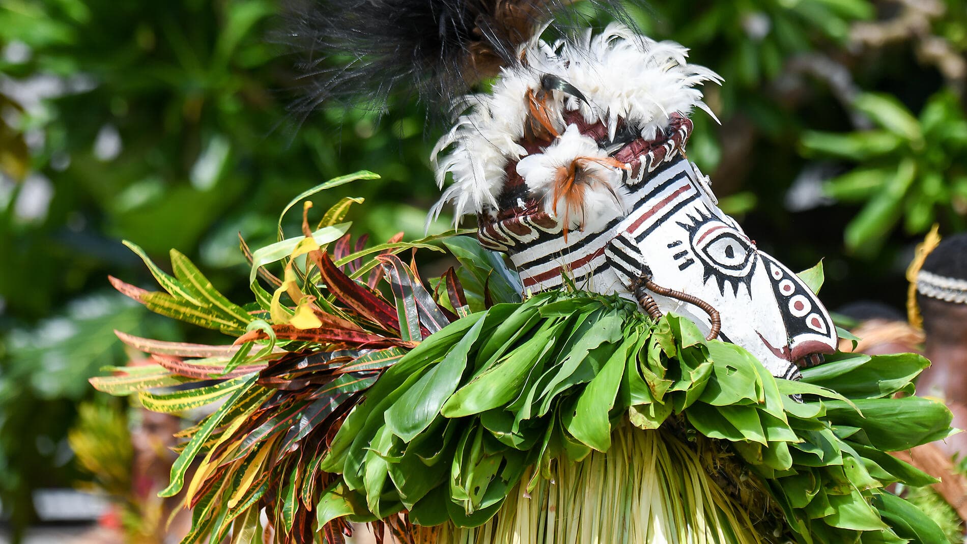 Odyssée en Nouvelle-Guinée 