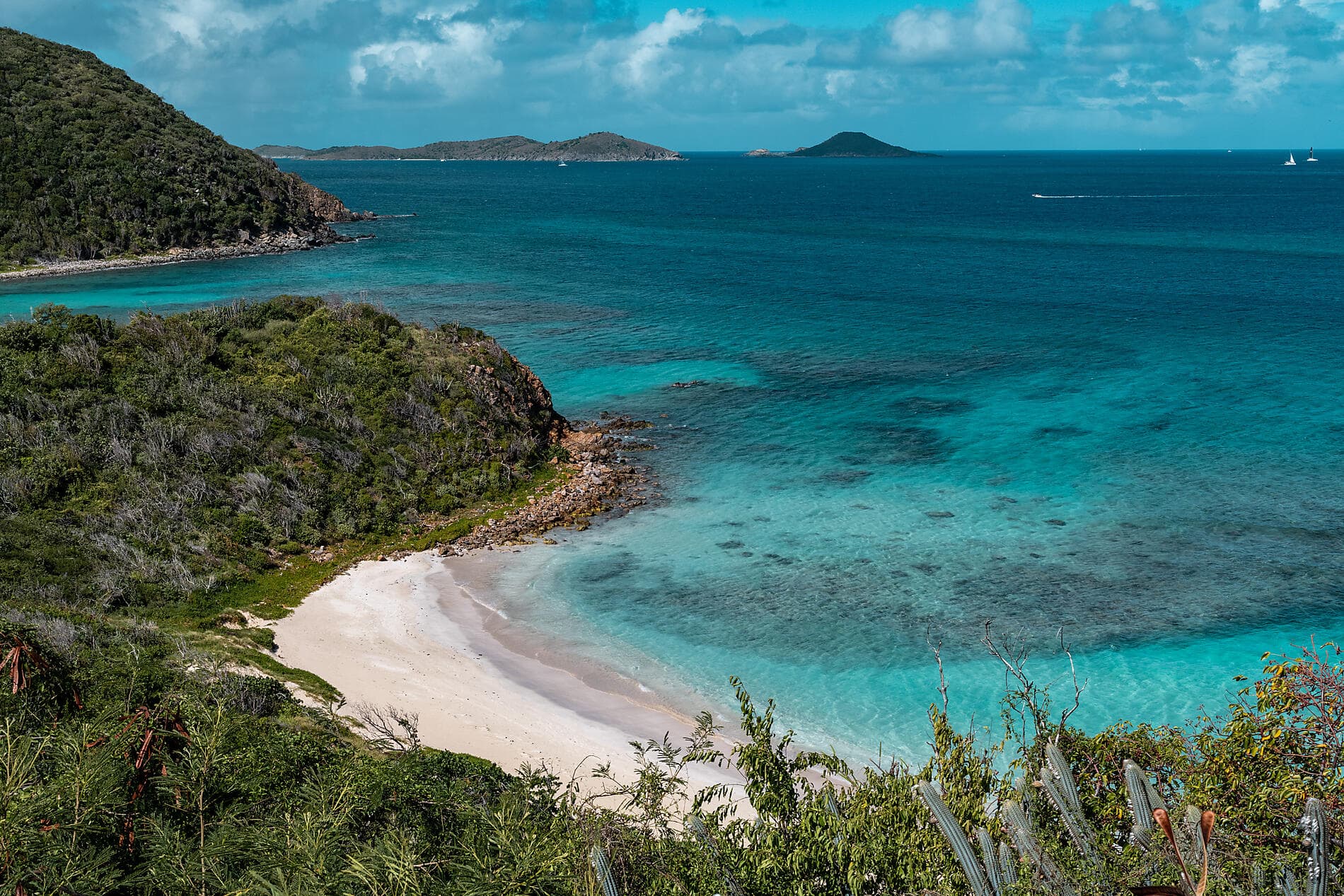 Merveilles des Caraïbes 