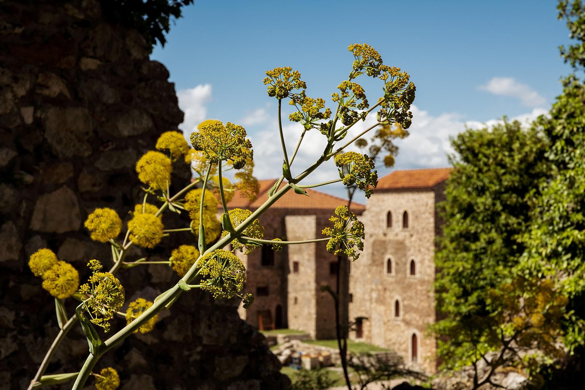 Paysages et sites emblématiques du Péloponnèse  