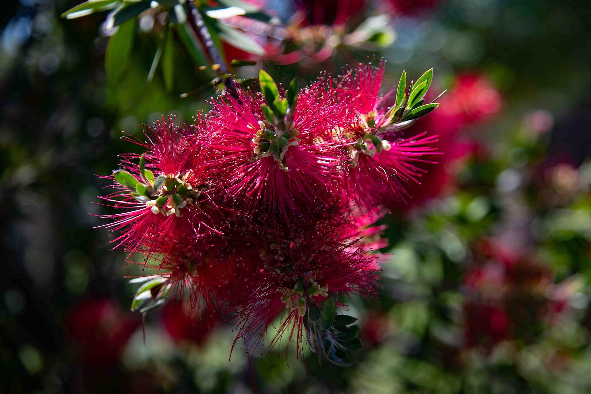 Trésors de Méditerranée au printemps 