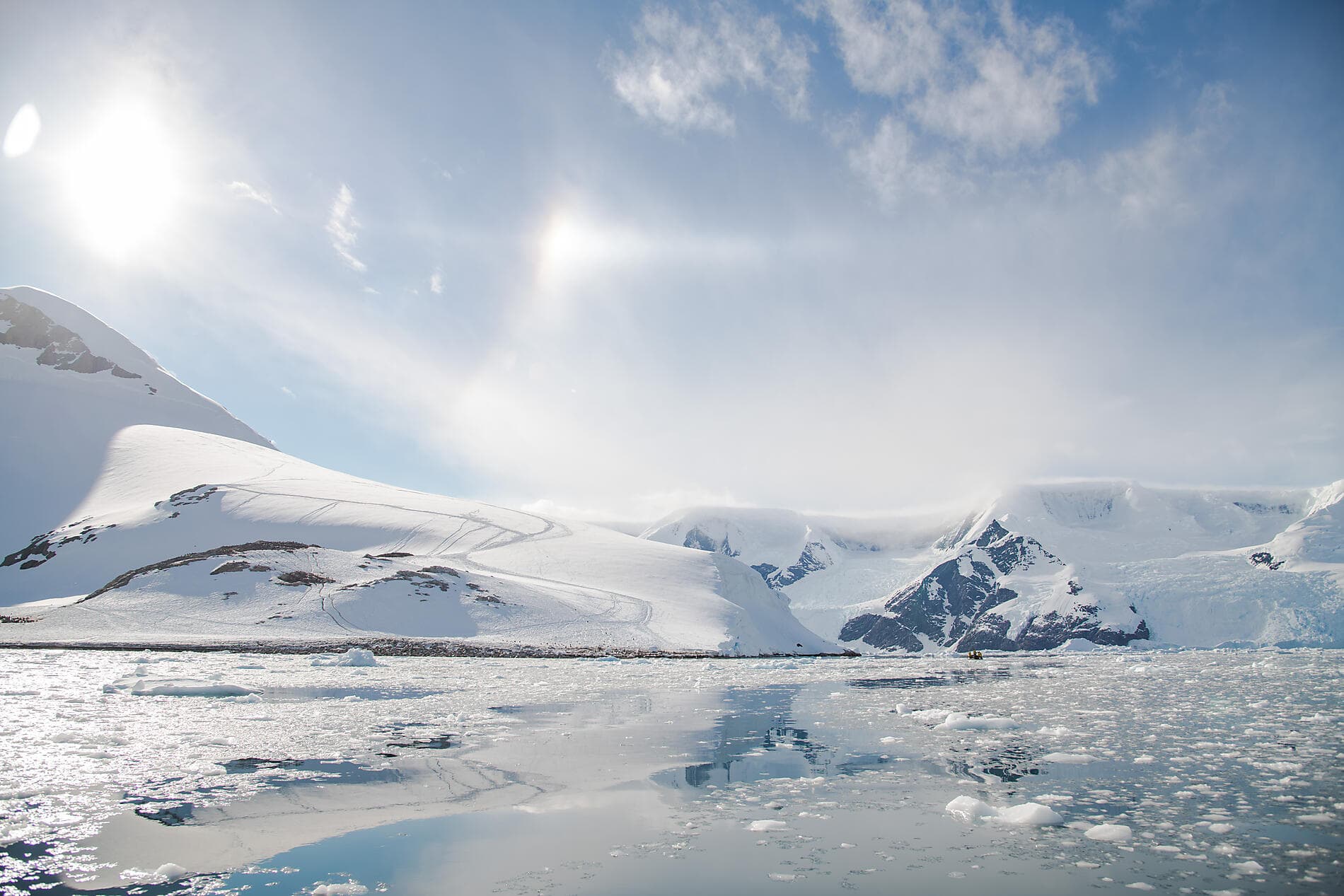 L'Antarctique emblématique  