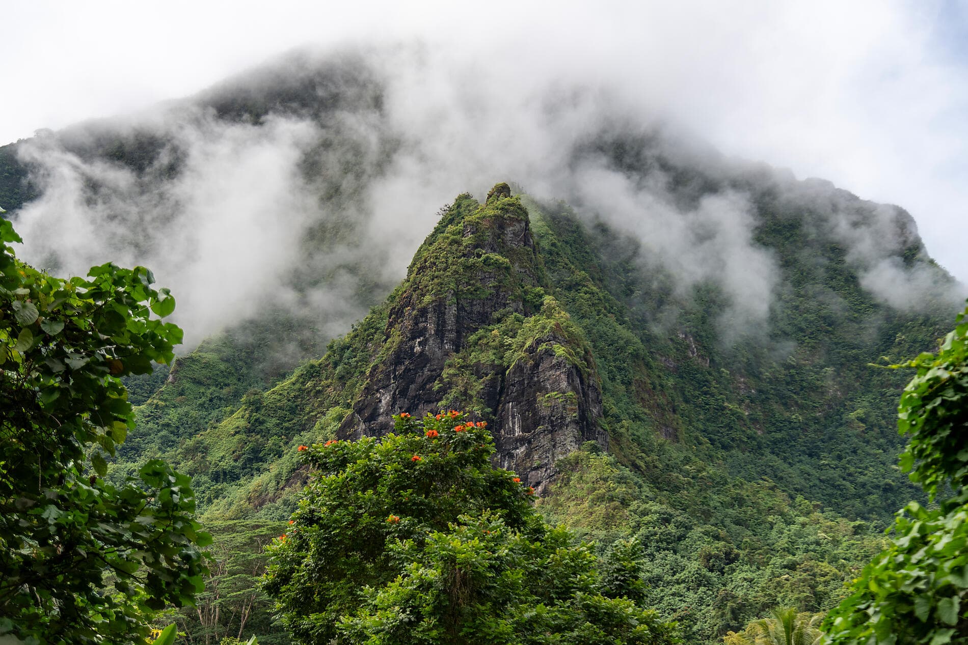 Îles Cook et îles de la Société 