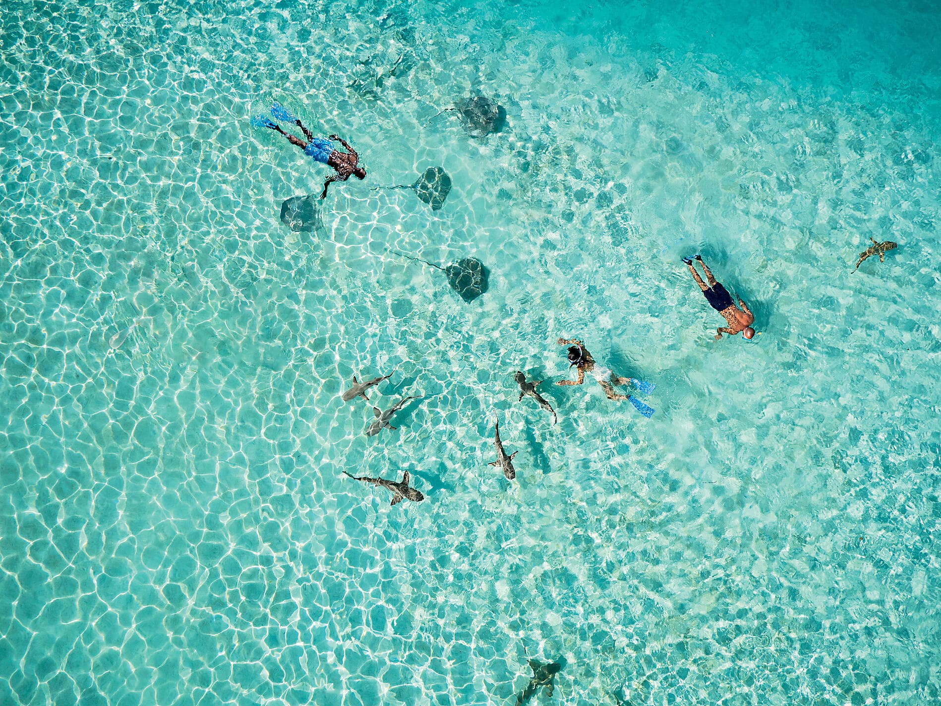 Polynésie secrète : Tuamotu inédites, îles Gambier et îles Australes 