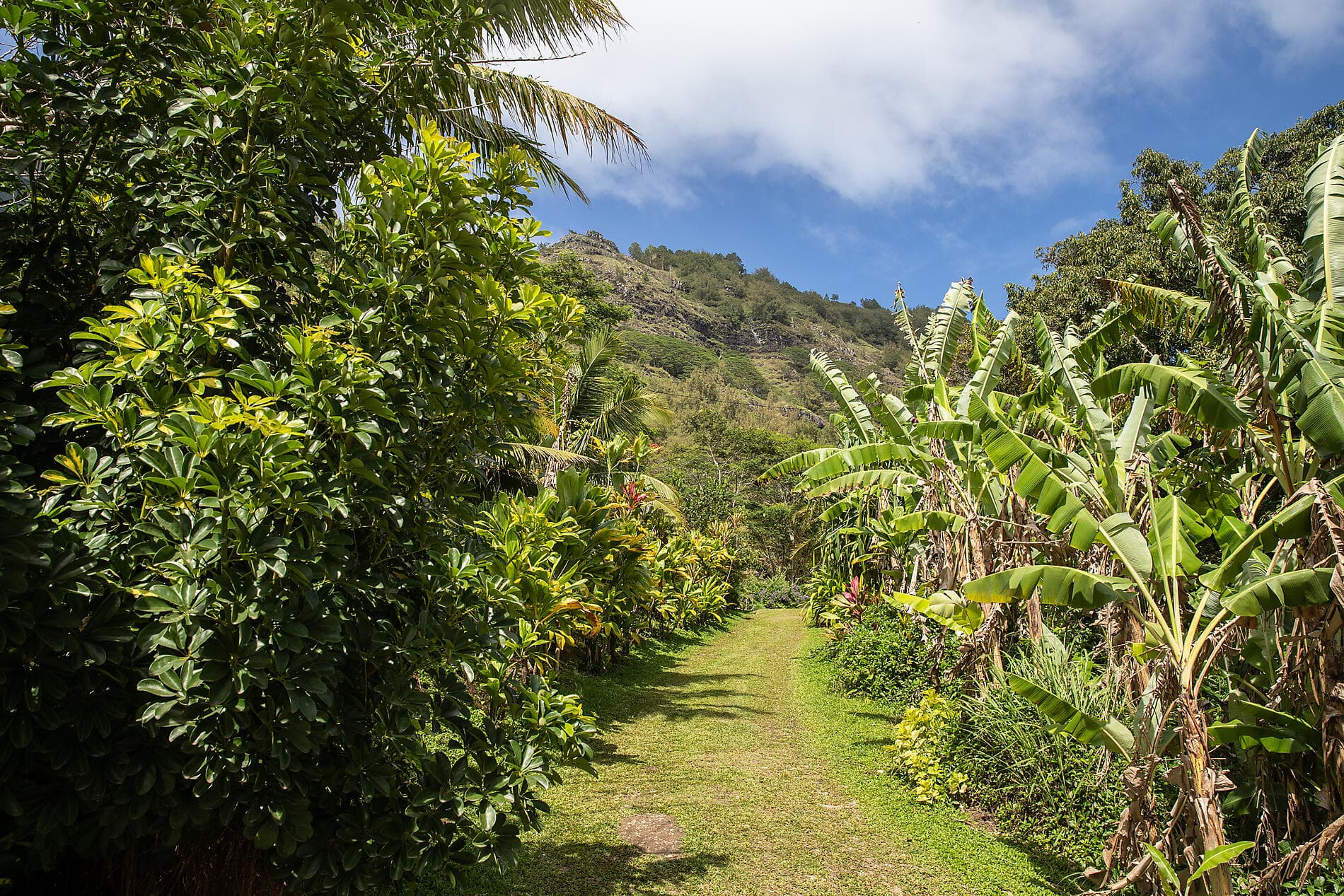 Polynésie secrète : Tuamotu inédites, îles Gambier et îles Australes 