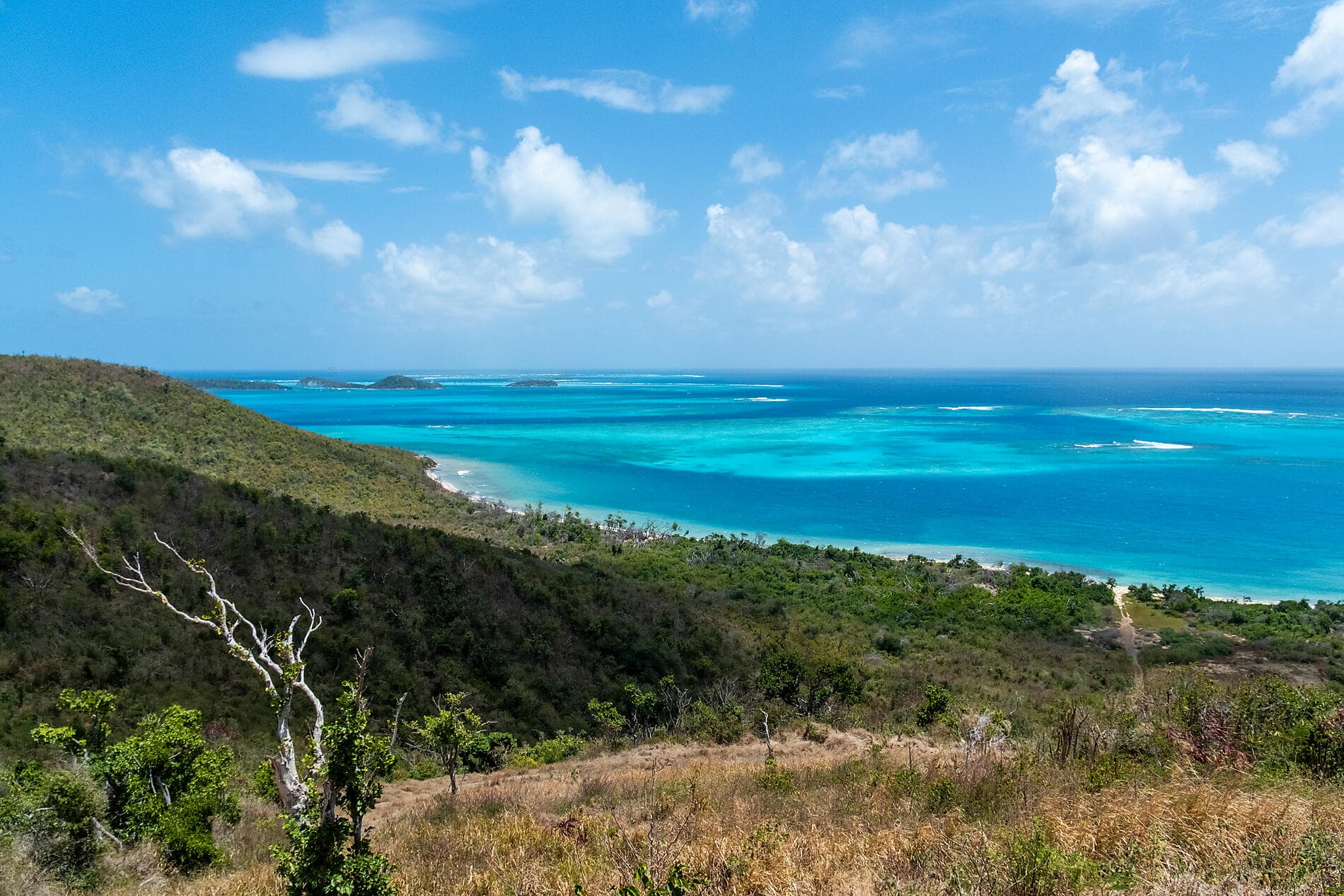Croisière de la fidélité - Panama, Colombie et les îles Caraïbes  