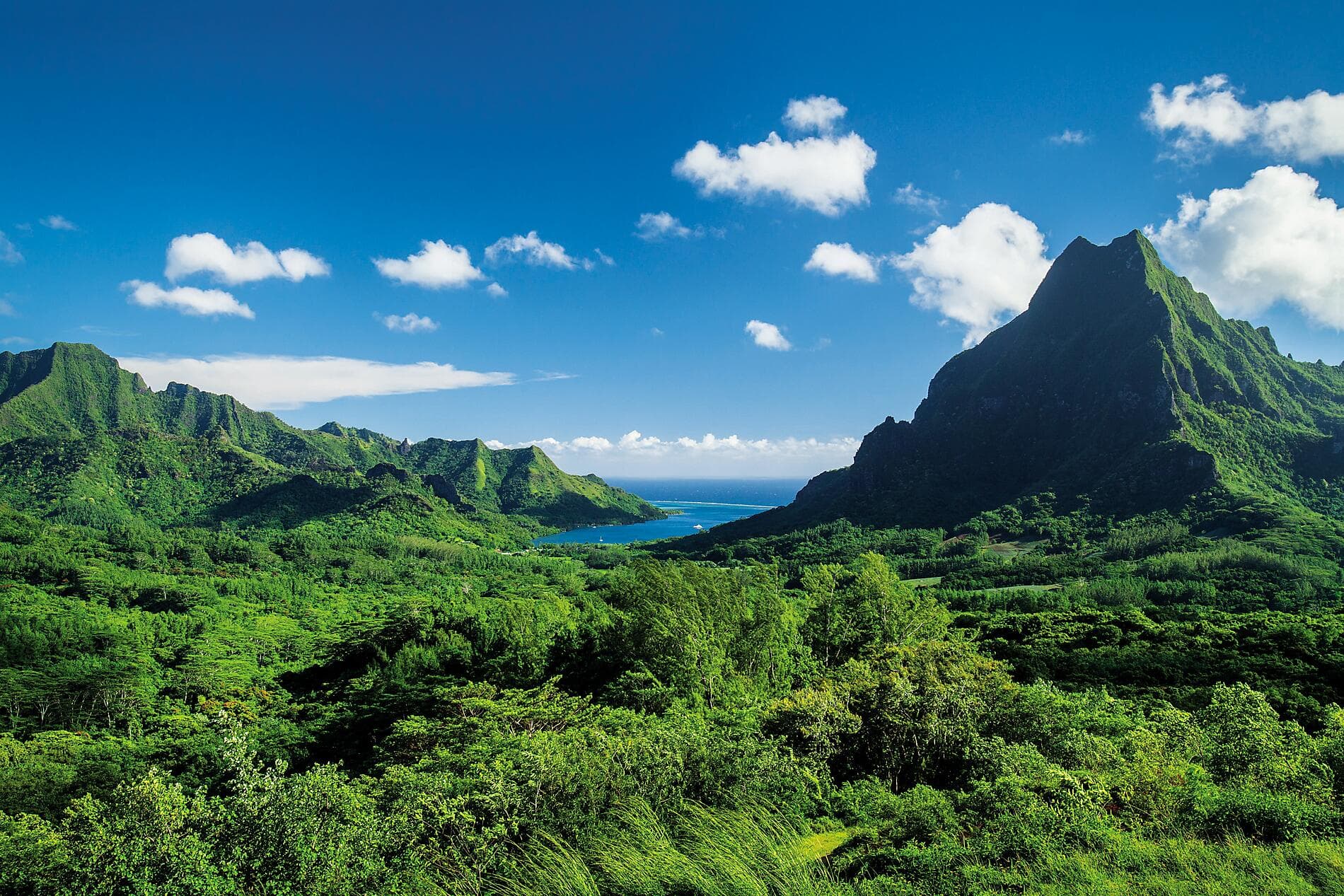 Îles Fidji, Tonga, îles Cook et îles de la Société 