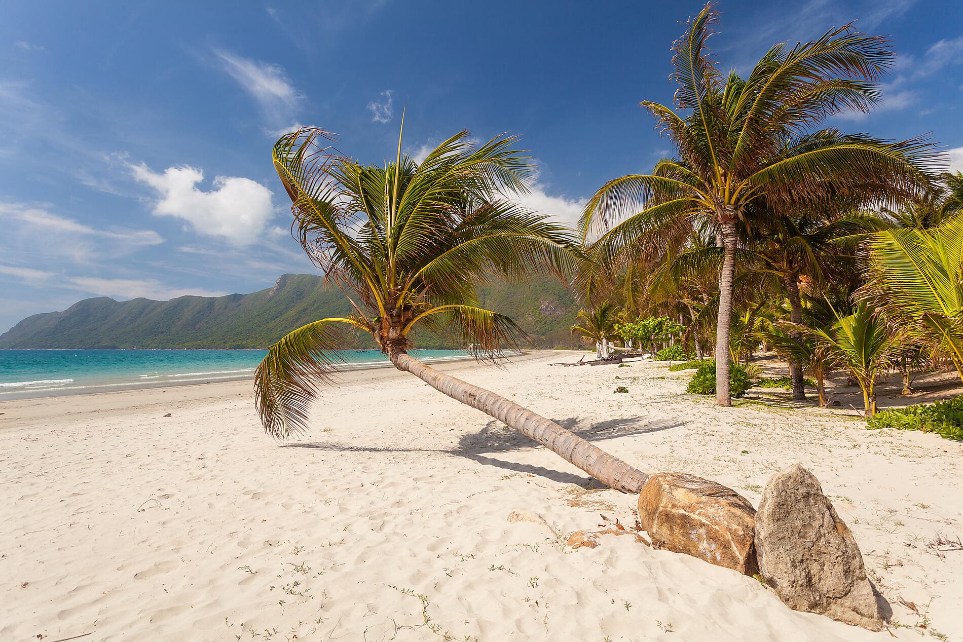 Rivages vietnamiens 