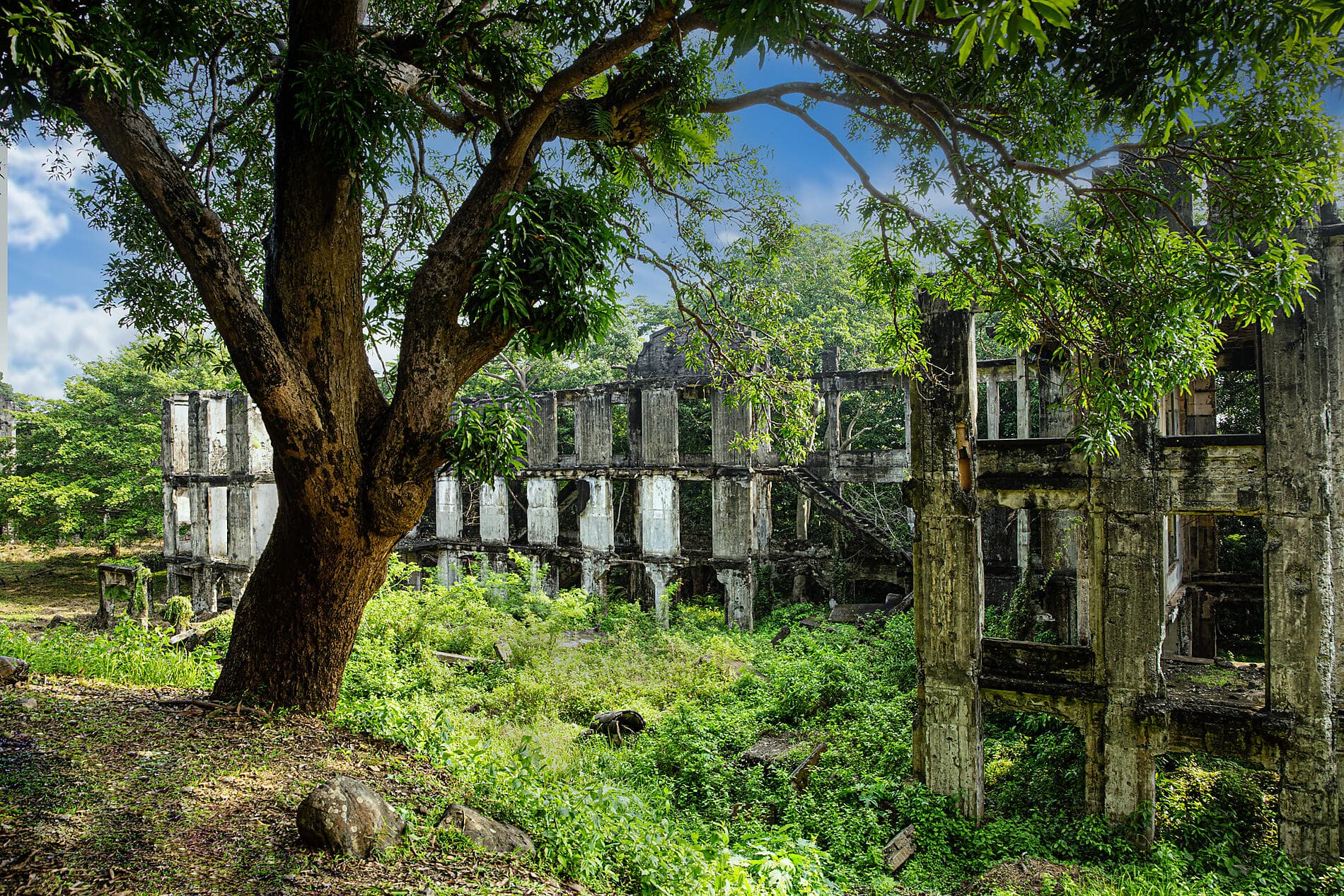 Nature et héritages des Philippines à Taïwan 