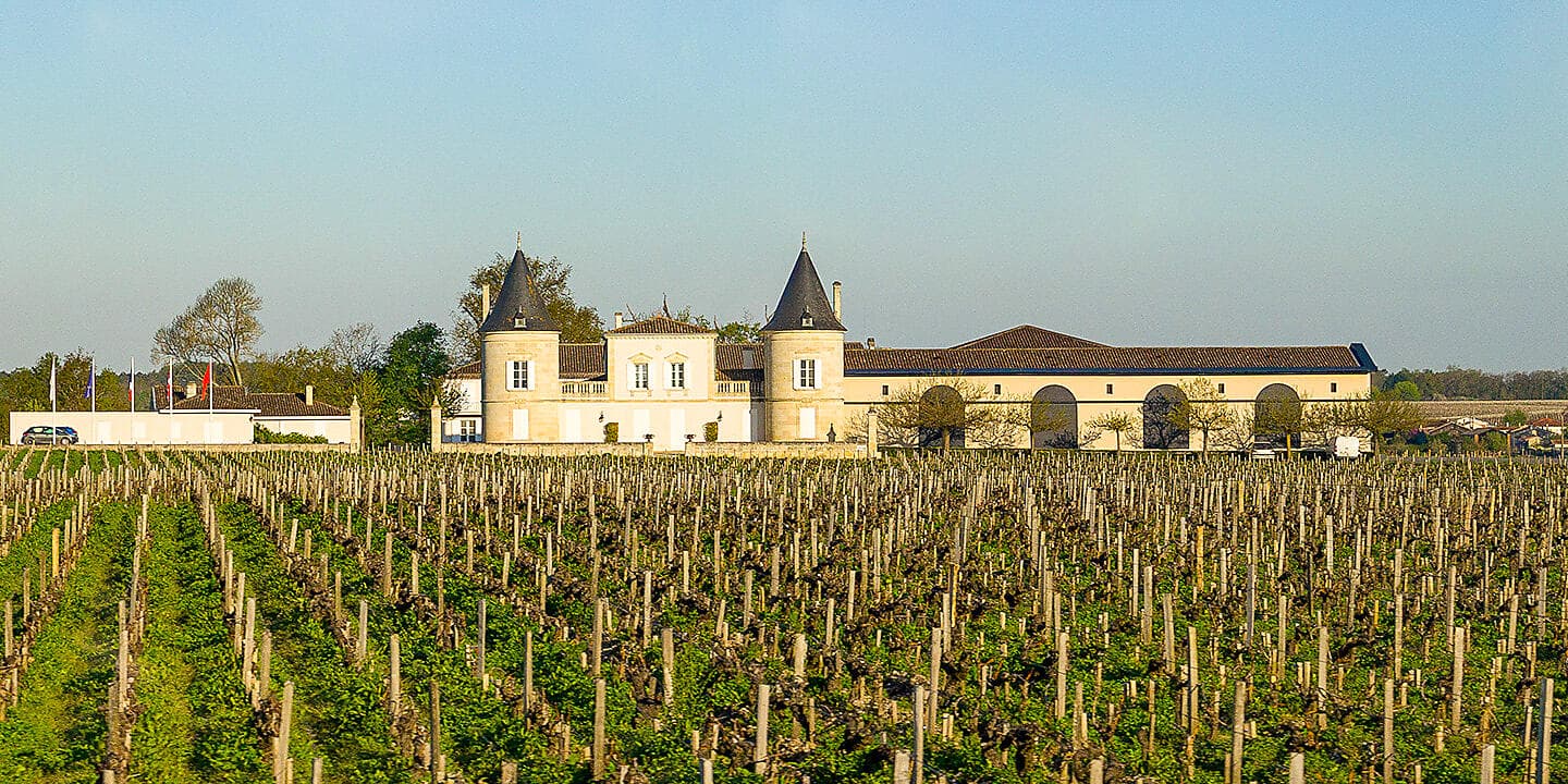 Saveurs, vignes et océan 