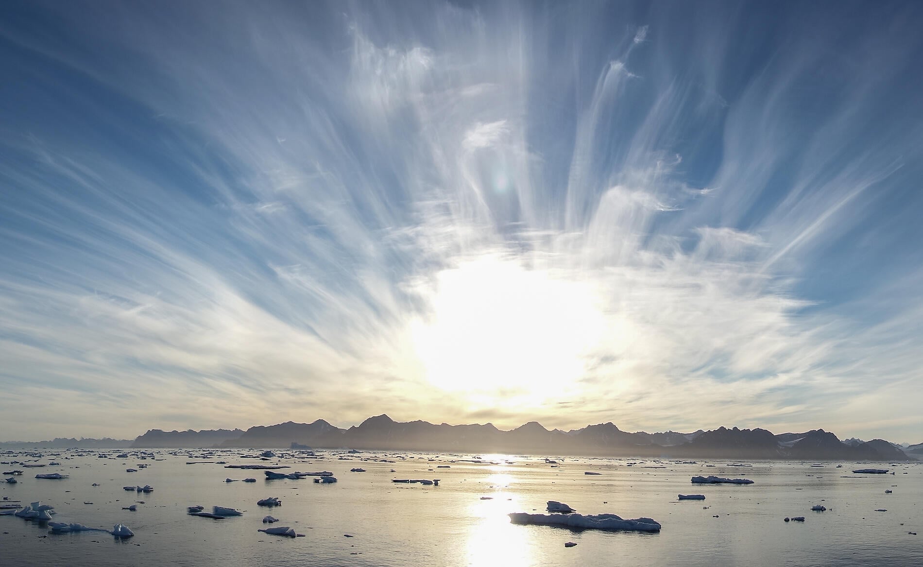 DSC09557_Nicolas Dubreuil_resize.jpg