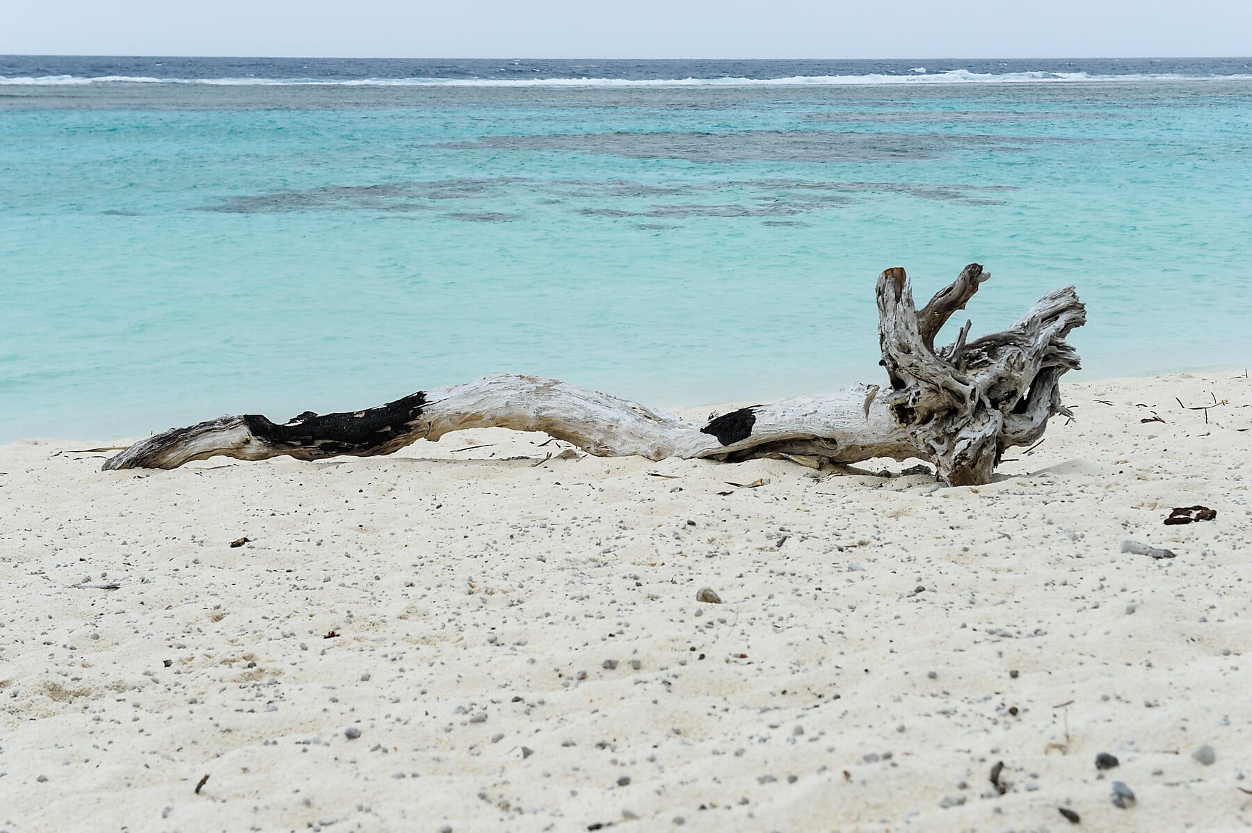 N-501_S191215_MARE-ISLAND©StudioPONANT-Margot Sib.jpg