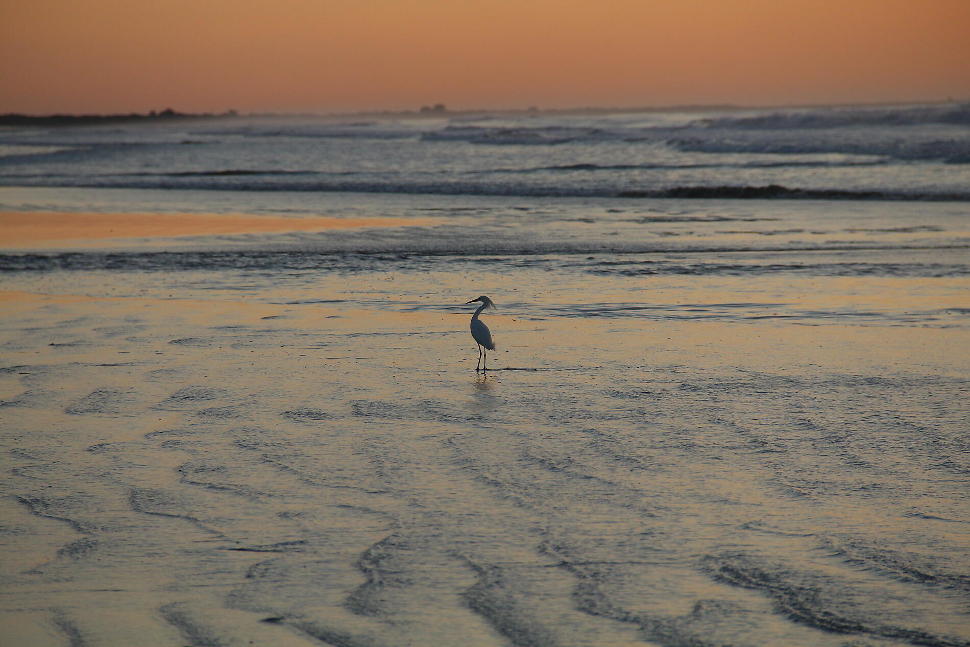 AdobeStock_1296533194.jpeg