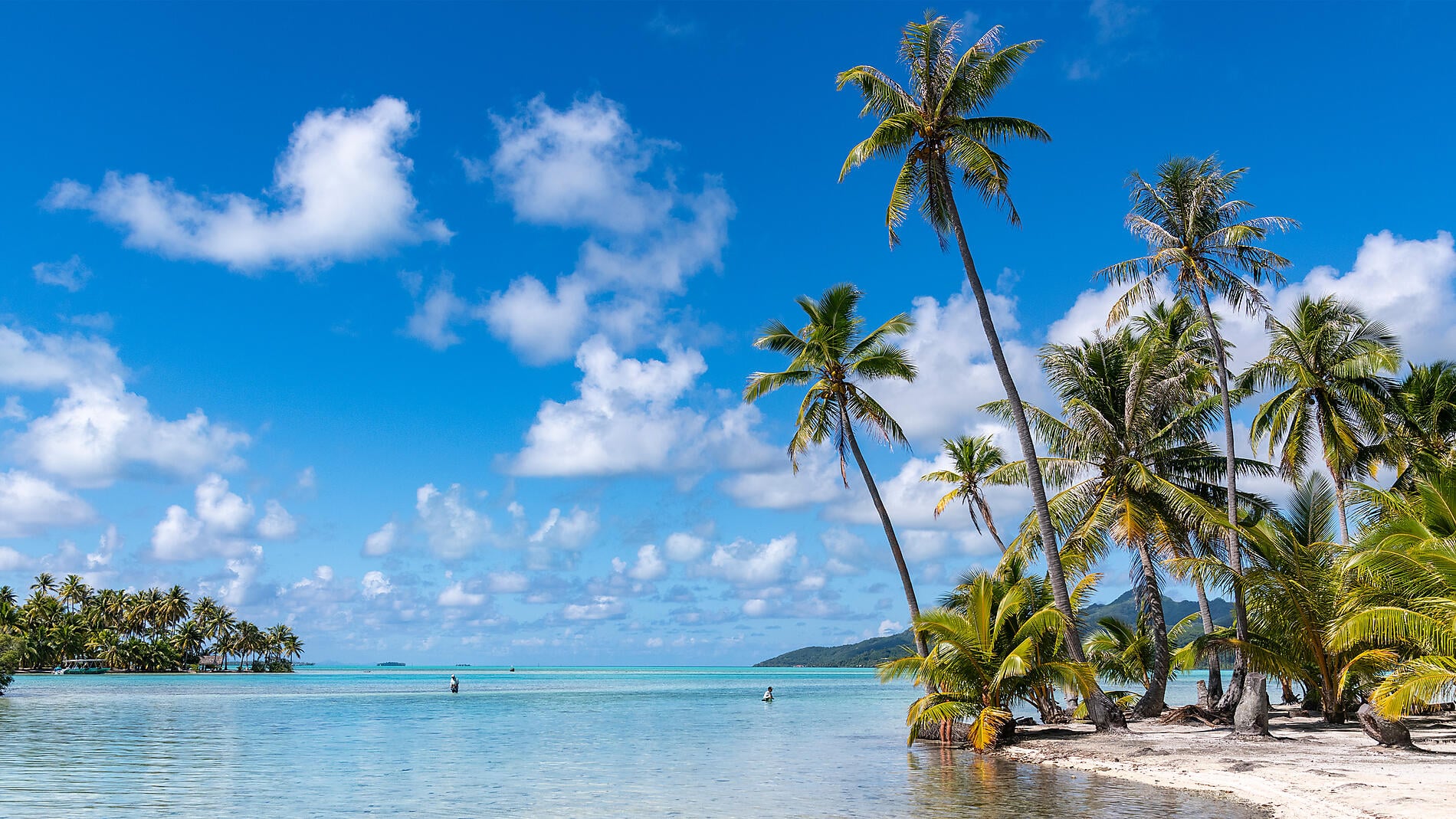 Marquises, Tuamotu et îles de la Société Marquises, Tuamotu et îles de la Société